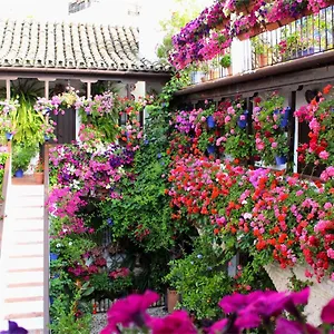 Apartment Puerta A La Mezquita, Córdoba